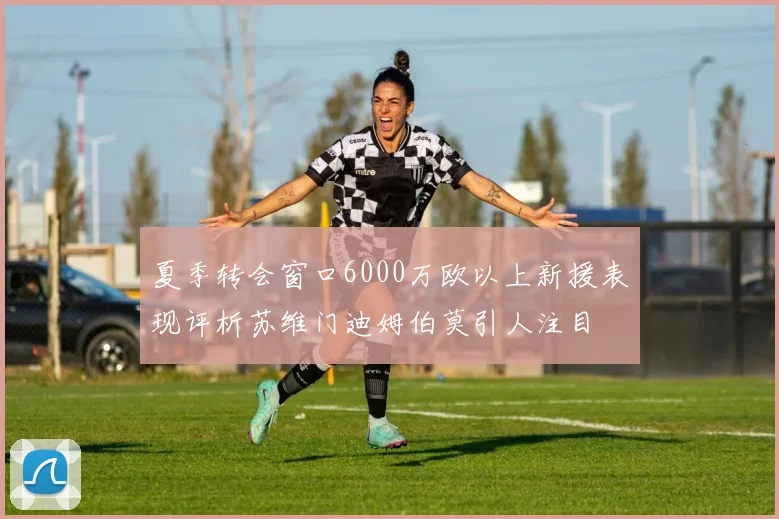 夏季转会窗口6000万欧以上新援表现评析苏维门迪姆伯莫引人注目
